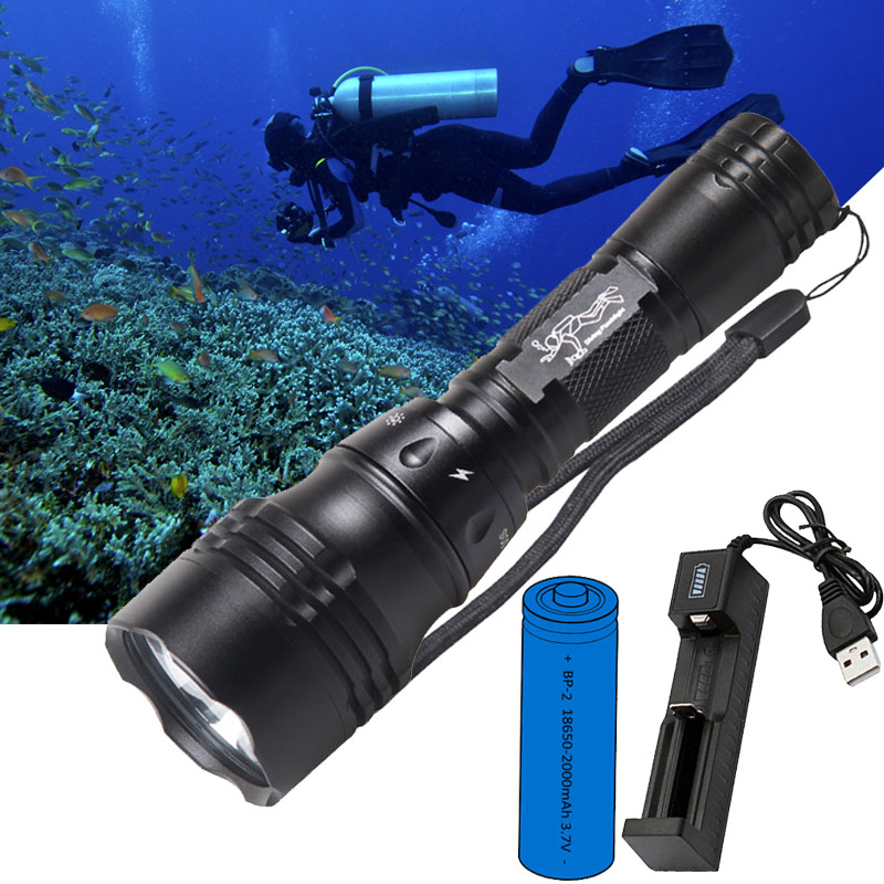 Przenośna lampa nurkowa 10W T6 – Fish Finder Charger recenzja i cena